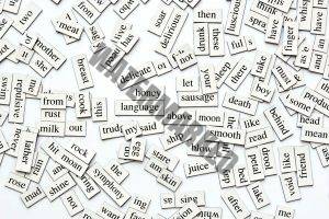 Read more about the article Important Vocabulary List-2 for ALL Competitive Exams
