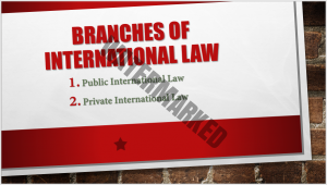Read more about the article Branches of International law: Public and Private international law