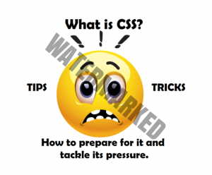 Read more about the article What is CSS Exam? How to handle its pressure and pass it