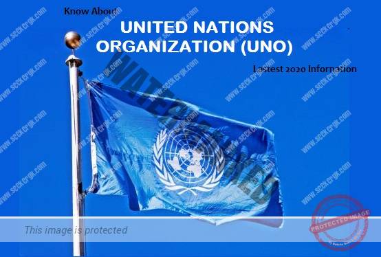 United Nations Organization (UNO) flag in flying higher