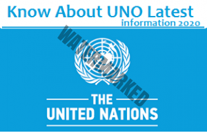 Read more about the article UNITED NATIONS ORGANIZATION (UNO)